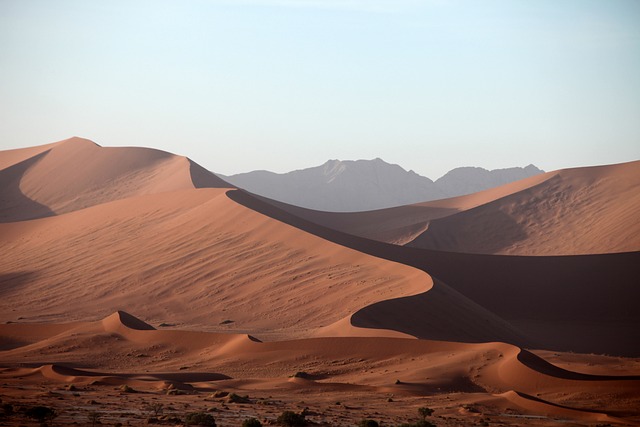 Unearthing Namibia's Desert Mystery: Astonishing Facts Revealed